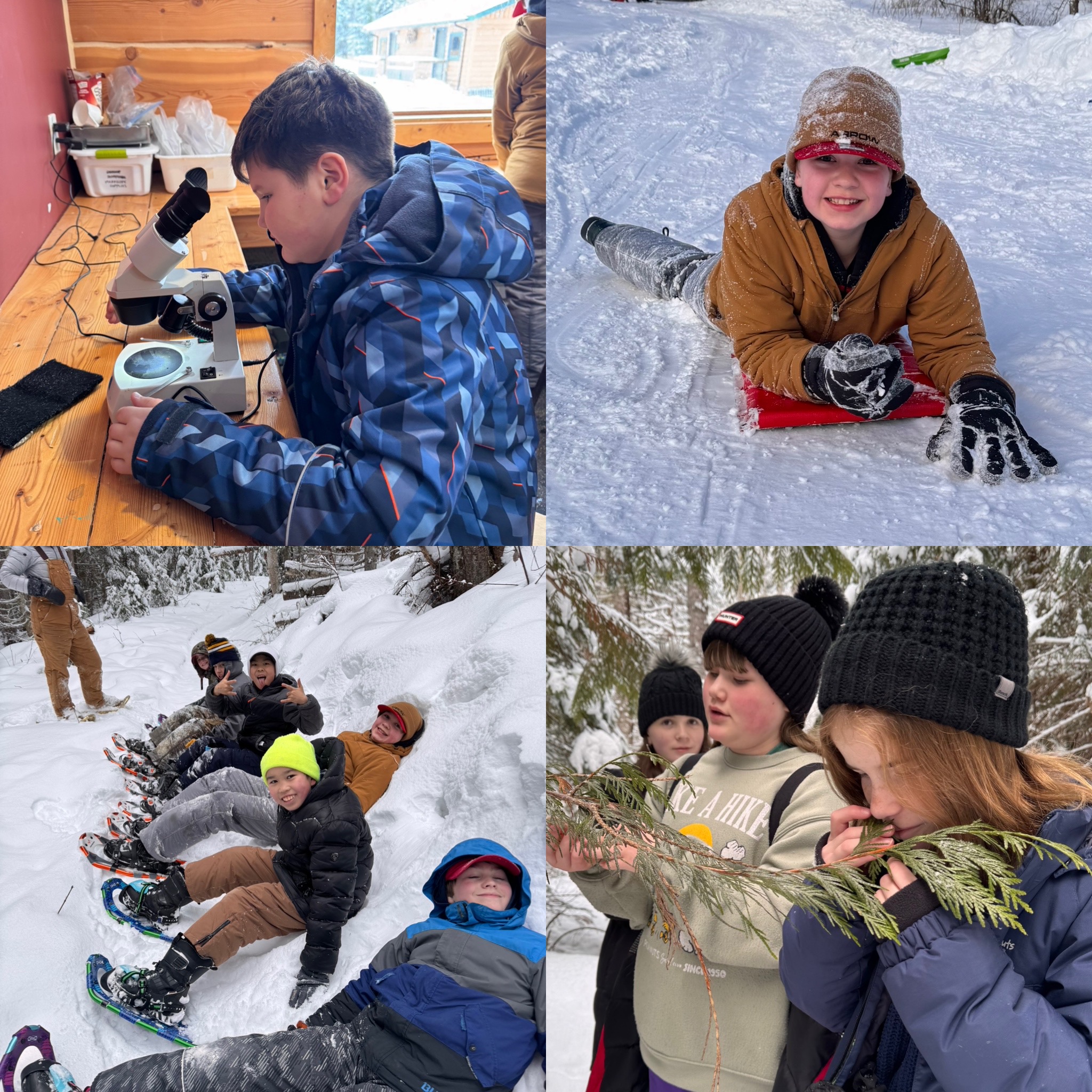 3E5D67FF 05A9 4799 954E 982513014093