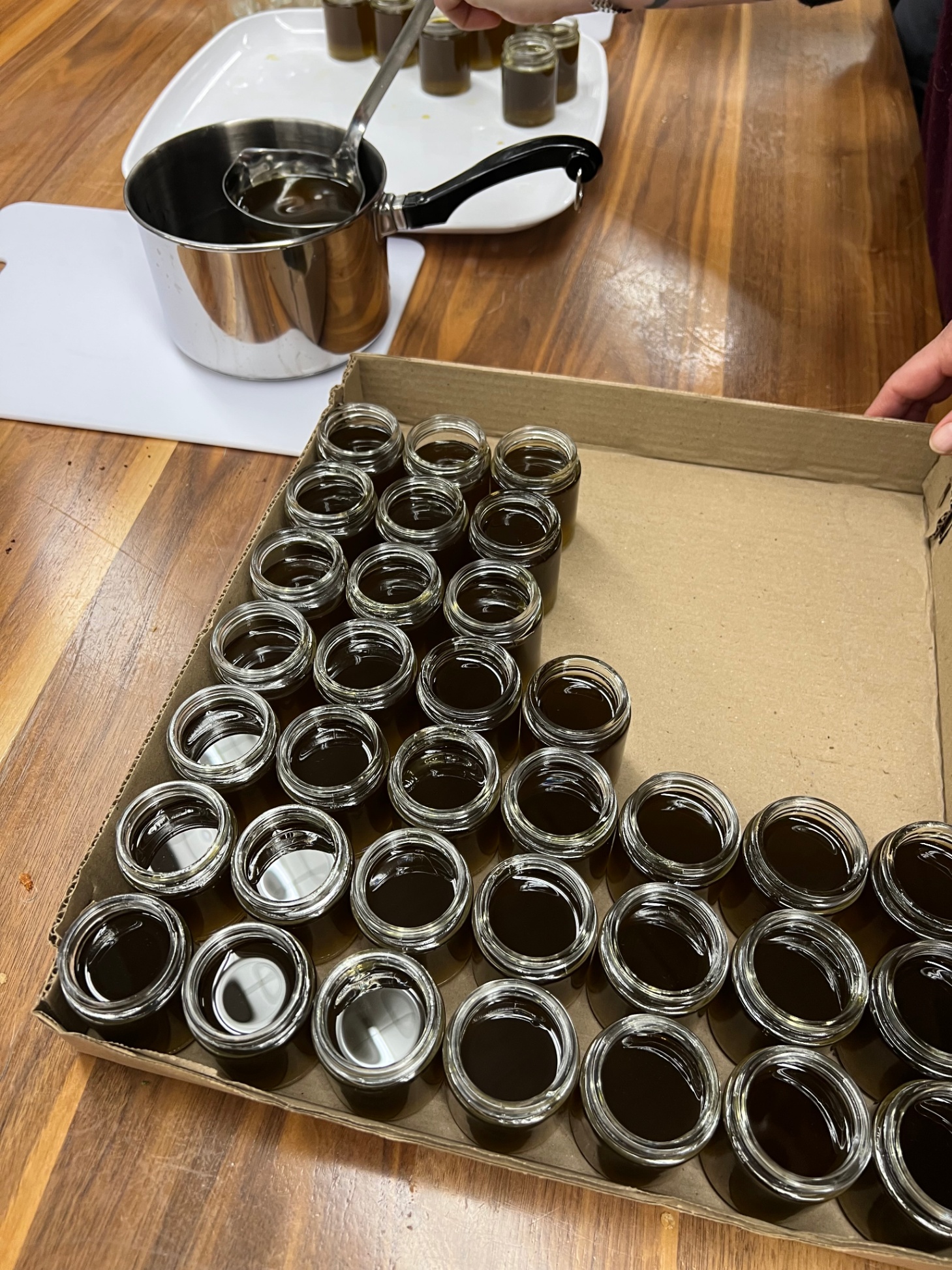 ProD Reflection Honouring Indigenous Medicines and Traditional Knowledge1